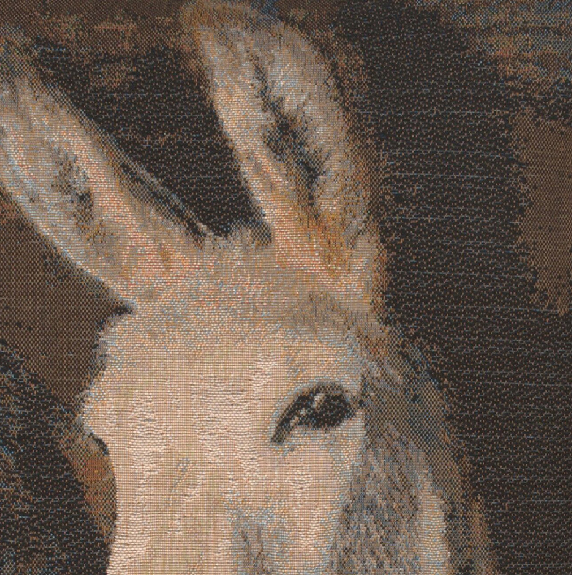 Donkeys French Tapestry Cushion