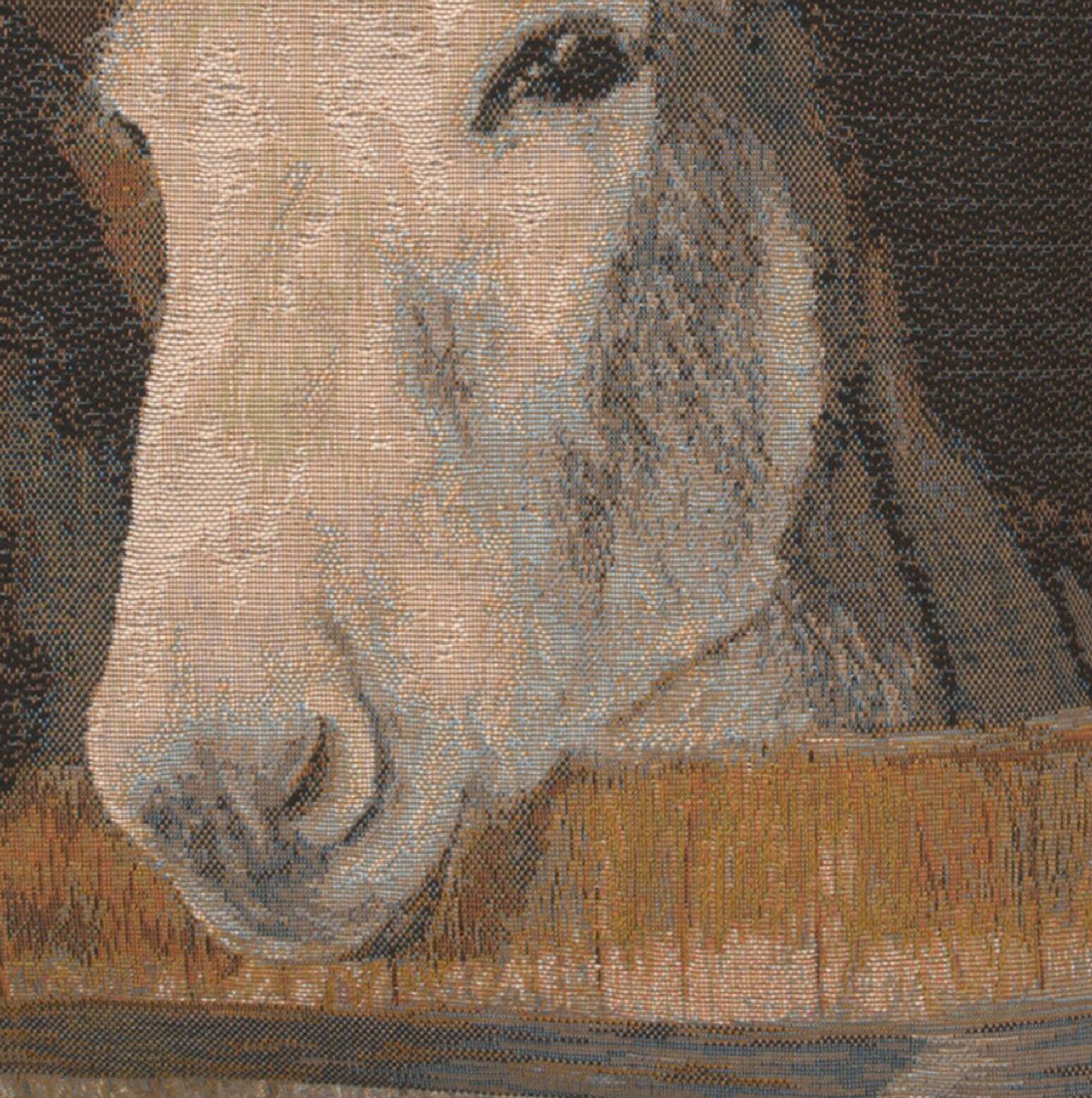 Donkeys French Tapestry Cushion