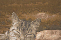 Sleeping Cat Brown I French Tapestry Cushion