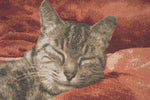 Sleeping Cat Red I French Tapestry Cushion