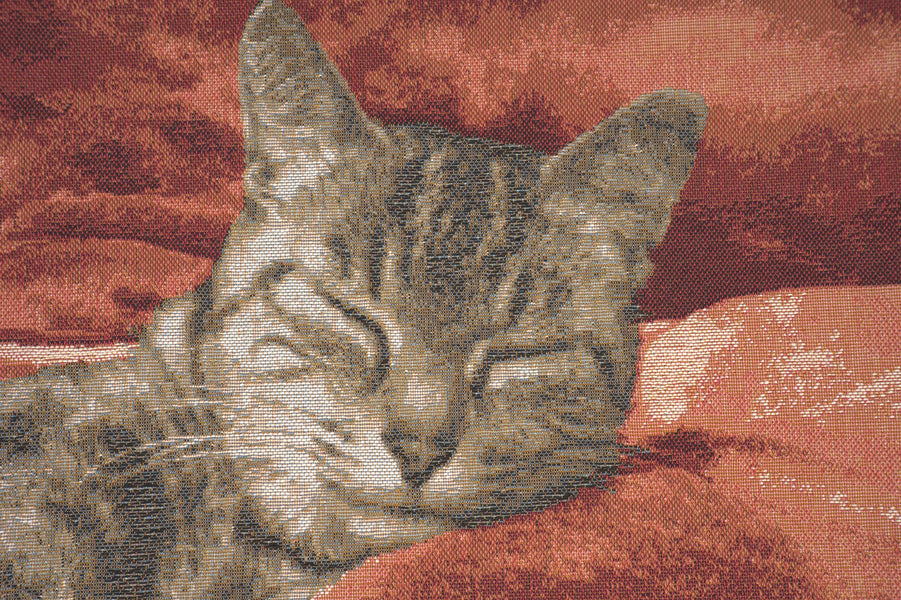 Sleeping Cat Red I French Tapestry Cushion