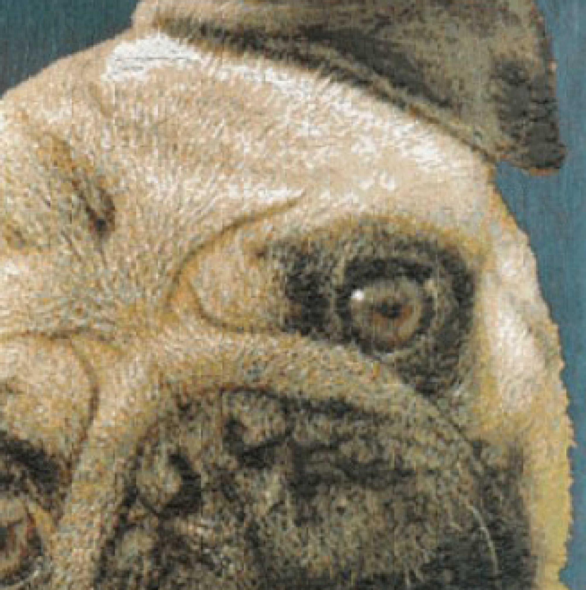 Pugs Face Blue II French Tapestry Cushion