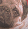 Pugs Face Red  French Tapestry Cushion