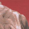 Pugs Face Red  French Tapestry Cushion