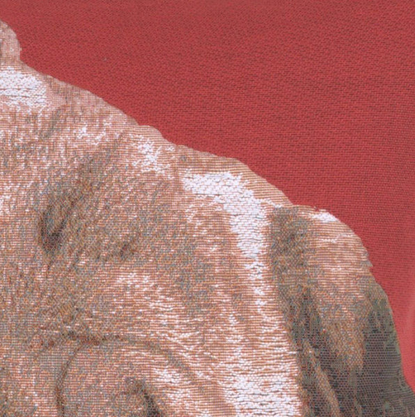 Pugs Face Red  French Tapestry Cushion