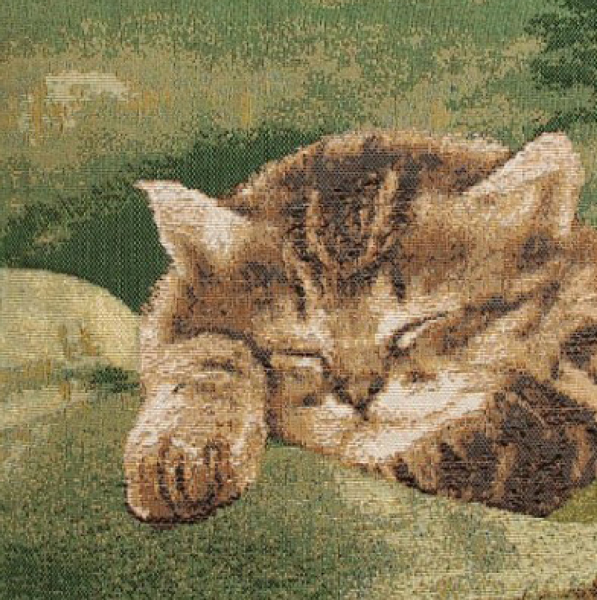 Sleeping Cat Green French Tapestry Cushion