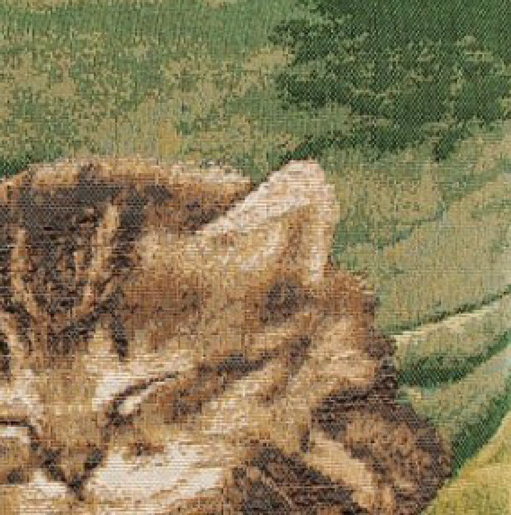 Sleeping Cat Green French Tapestry Cushion