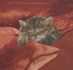 Sleeping Cat Red II French Tapestry Cushion