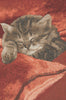Sleeping Cat Red II French Tapestry Cushion