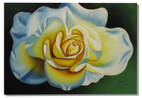 The Rose Canvas Oil Painting
