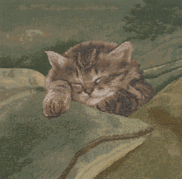 Sleeping Cat Blue French Tapestry Cushion