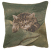Sleeping Cat Blue French Tapestry Cushion