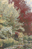 Trees Monet's Garden Belgian Tapestry Cushion