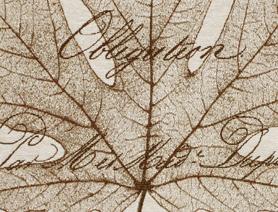 Maple Document Fine Art Tapestry