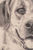 Happy Canine Stretched Wall Tapestry