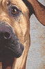 Soft Eyes Stretched Wall Tapestry