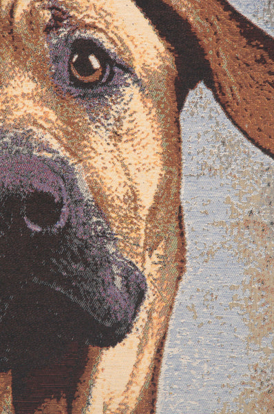 Soft Eyes Stretched Wall Tapestry
