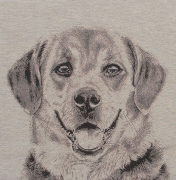 Happy Canine II Decorative Pillow Cushion Cover