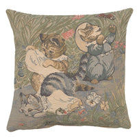 Tom Kitten Beatrix Potter  European Cushion Cover by Beatrix Potter