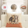 Two Kittens French Tapestry Cushion