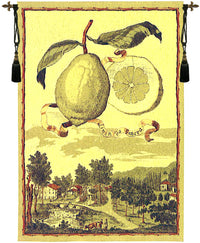 Lemon De Genova European Tapestry by Volkamer