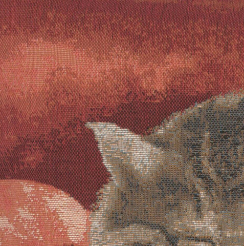 Sleeping Cat Red II French Tapestry Cushion