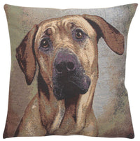 Soft Eyes II Decorative Pillow Cushion Cover by Alessia Cara